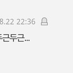 [세븐틴] 캐럿들ㅋㅋㅋㅋㅋ 귀여워ㅋㅋㅋㅋ