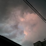 [방탄소년단] 안녕 이삐들!