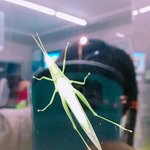 [드루와] 이거 먼 벌<b>레지</b>