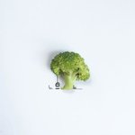 소소한 낙서와 작은 <b>사물</b>들