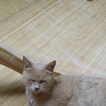 <b>파스텔</b>기다리신분들께