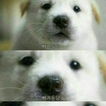 [드루와] 너네 교복 이런식으로 바꼈으면 좋겠다 하는거 있어??