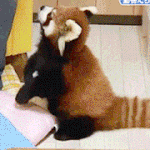 여자들은 왜 야한사진 안<b>올림</b>?