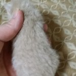 파스텔기다리신분들께