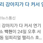 [EXO] ㅋㅋㅋㅋㅋㅋㅋㅋㅋㅋㅋㅋㅋ기사제목ㅋㅋㅋㅋ
