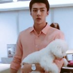 [EXO] <b>비숑</b> 잠금!