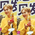 [EXO] ㅆㅂ 오늘 ㅈㄴ귀여움