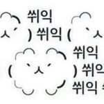 [댓글부탁해] 아 ㅅㅂ 벌레새끼 진짜