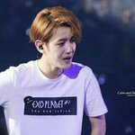 [EXO] <b>태연</b>앞에서 눈물짜는 상폐남 백현