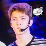 [세훈] 160824 삥홍차 <b>팬미팅</b> 프리뷰20