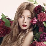 장보는 현아