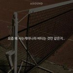 <b>이사진</b> ㄹㅇ 개공감