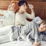 [세븐틴] <b>클린</b>에서 사진