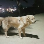 [방탈죄송] 대구분들 봐주세요!!!