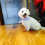 [방탄소년단] 이짤이 겁나 귀여운이유