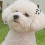 [팬픽] ㅂㄷ)픽 좀 찾아줘