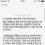 (펌)(눈물주의...) <b>천사</b>같은 우리 강아지는 저를 만나지 말았어야...