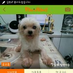 [동행세상] 수원-><b>성남</b> 이동봉사자 찾습니다.