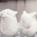 [방탄소년단] <b>토끼들</b>