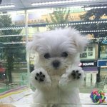 [조언부탁해] <b>남소</b> 많이받아본사람? 나 <b>남소</b>받을까말까