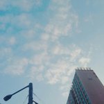 ㅅㅂ내일 <b>긴팔</b> 입을려니깐