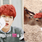 [인피니트] 성열이 <b>사슴</b>미짤