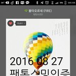 [방탄소년단] 이삐들...힘찬함성콘서트