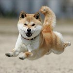 [드루와] 다이어트옾챗 <b>만듬</b>