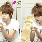 [인피니트] 성열오빠 생일축하해