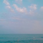 애들아 아이돌<b>덕</b>질이랑 <b>배우</b><b>덕</b>질중에