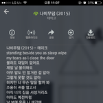 [세븐틴] ㅅㄷ올만에나비<b>무덤</b>듣는데