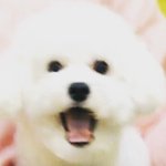 [EXO] 비<b>비야</b>사랑해