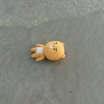 [세븐틴] 아6대
