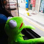 니트에 반바지 조카ㅂㄹ??