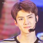 [EXO] 세훈이가 뭐가 어중간해 <b>병신</b>아 니 와꾸를봐