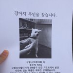 <b>구로</b>디지털단지역에서 강아지를 주웠습니다ㅠㅠ