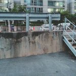 [드루와] +!우리집앞에 짱구뛰어다ㄴ님