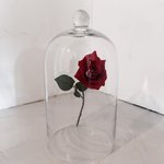 [에이핑크] (+추가(낭스타그램