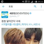 [세븐틴] 도겸이어딧녜ㅠㅠㅠㅠ구칠이들