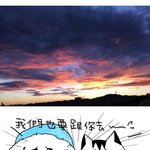 [세훈] 냥홈마 하와이 갔네~~