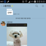 우리집 강아지 <b>동동이</b>를 소개합니다