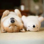 [굿<b>나잇</b>] ㅈㅈㅈㅈㅈㅈㅈ잘자셈ㅁㅁㅁㅁㅁㅁㅁㅁㅁㅁㅁ