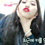 자기<b>세뇌</b>
