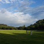 상암동공원에서 개싸움났네요