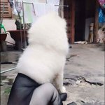 [댓글부탁해] 캔 겟 투미 엣 올!!!