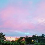[세븐틴] ㅅㄷ)어제 찍은건데