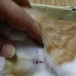 파스텔엄만데요제정신이짐아닌데요