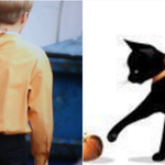 [시우민] 시우민은 치즈냥이 핑크냥이 <b>미모</b>냥이 슈냥이