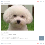 [VIVI] 이거 조카 귀여웤ㅋㅋㅋㅋㅋㅋㅋㅋㅋㅋㅋㅋㅋㅋㅋㅋㅋㅋㅋㅋㅋ