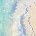 <b>보보</b>경심 10황자 얘기 하는 얘들아